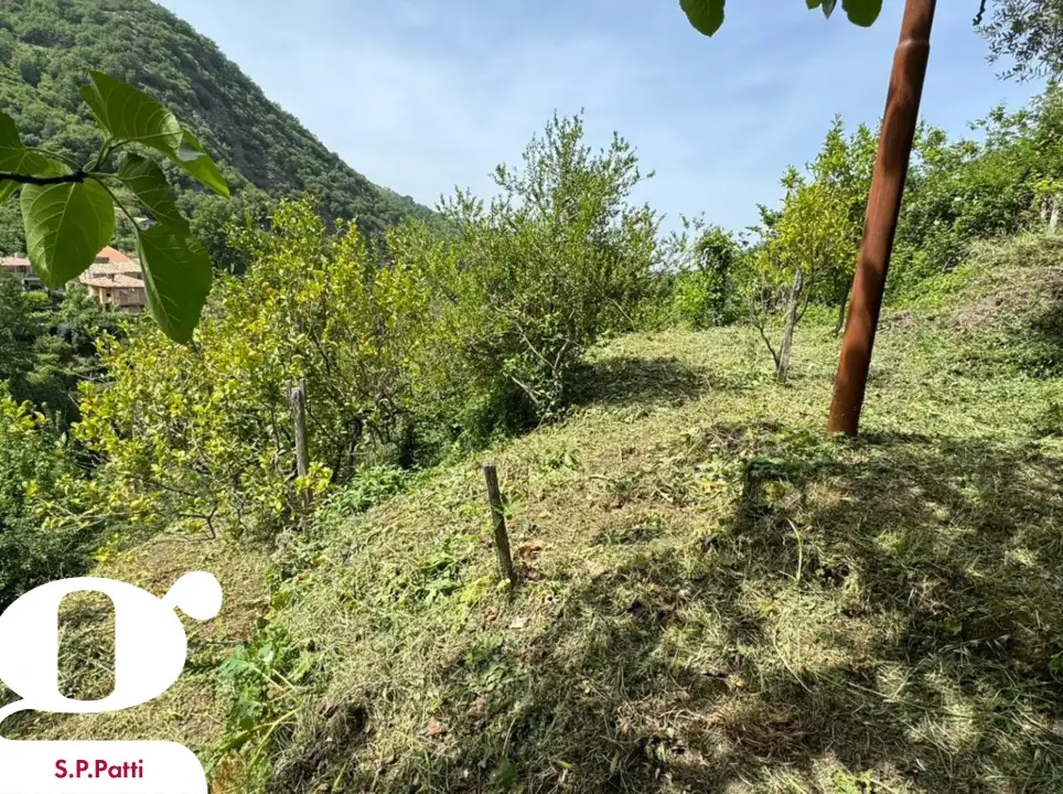 Casa Indipendente - Image 6