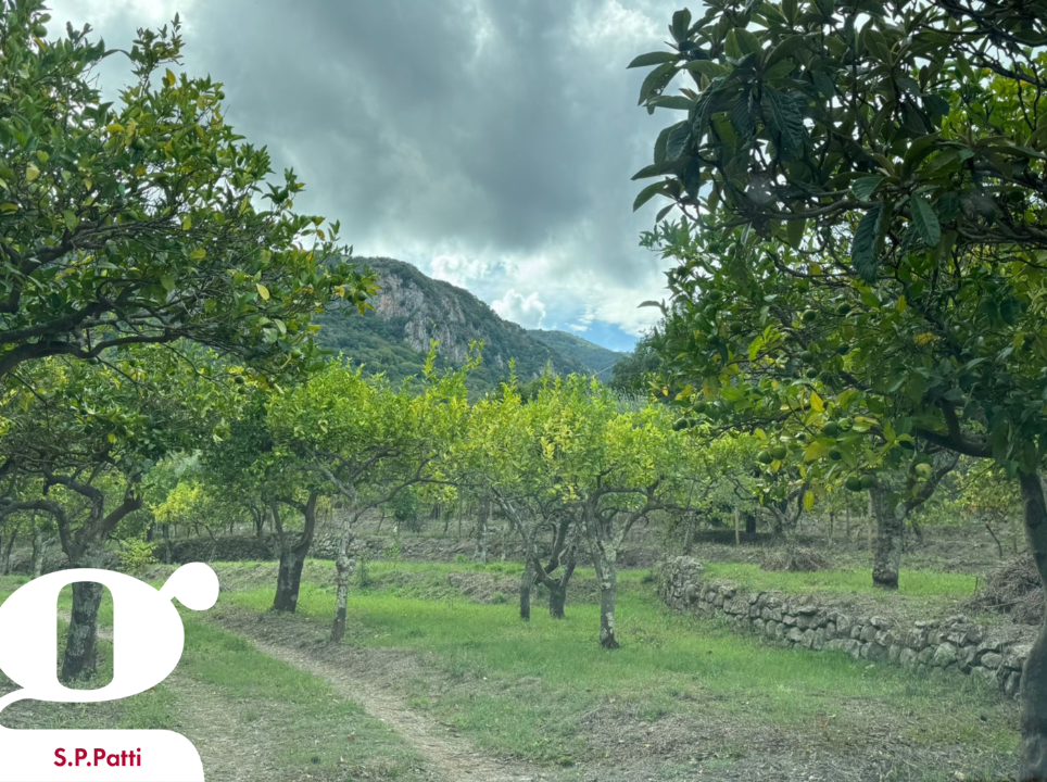 Casa Indipendente - Image 7