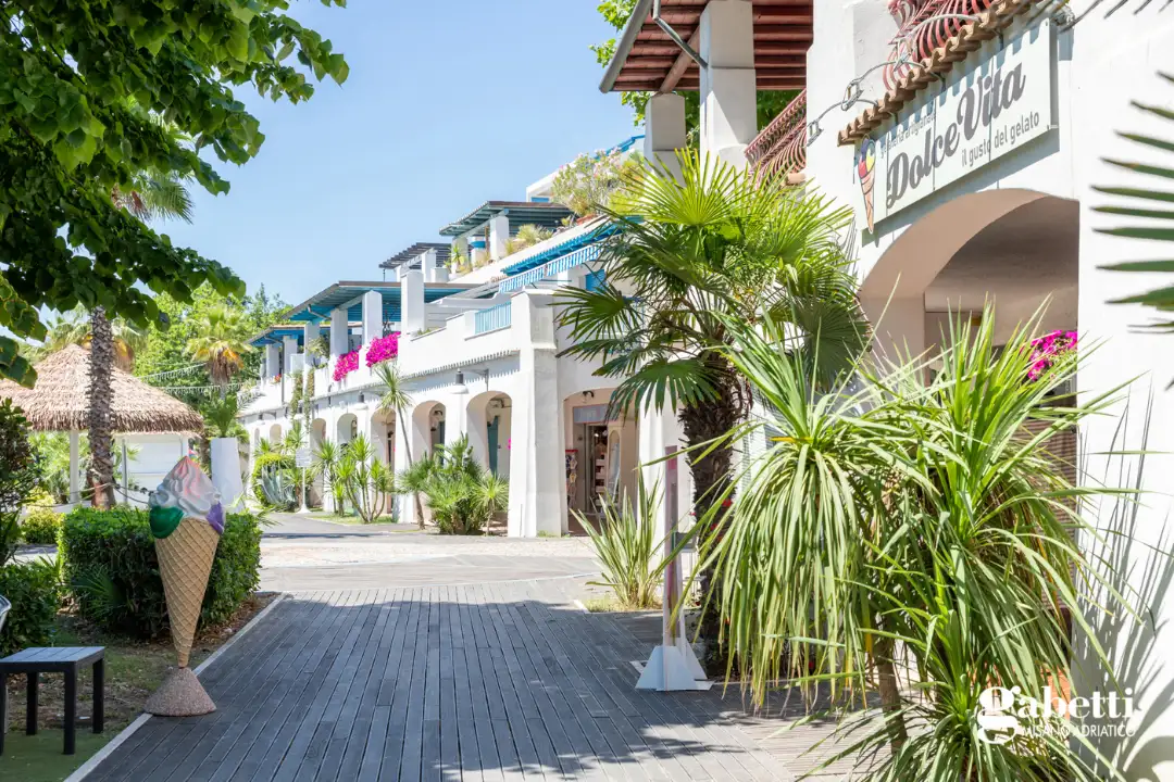 Attività - Image 13