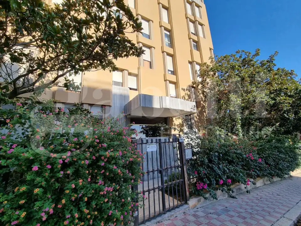 Appartamento - Image 5