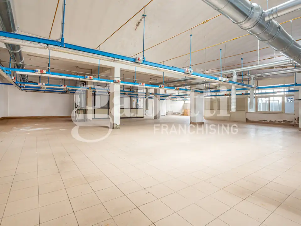 Laboratorio - Image 4