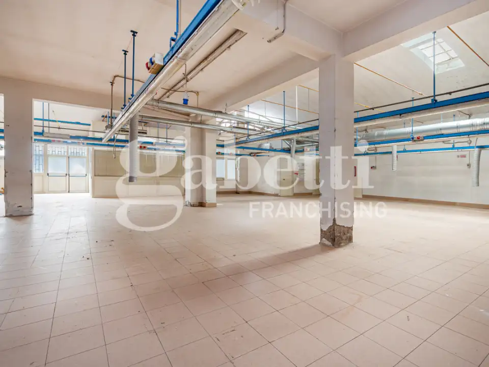 Laboratorio - Image 5