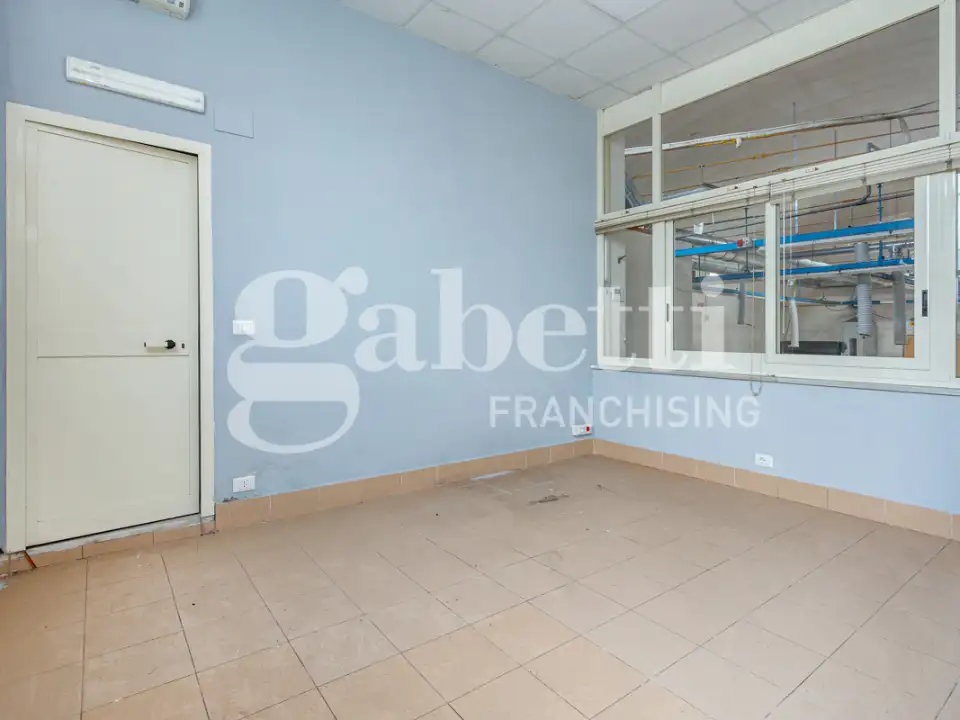 Laboratorio - Image 7