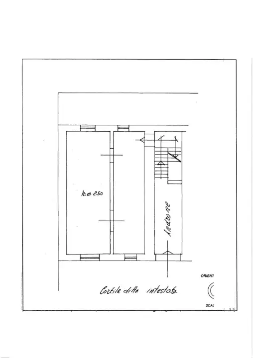 Negozio - Planimetry 2