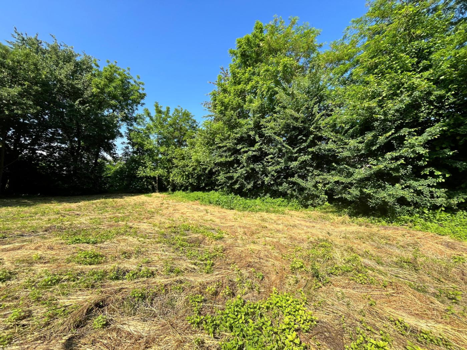 Casa Indipendente - Image 5