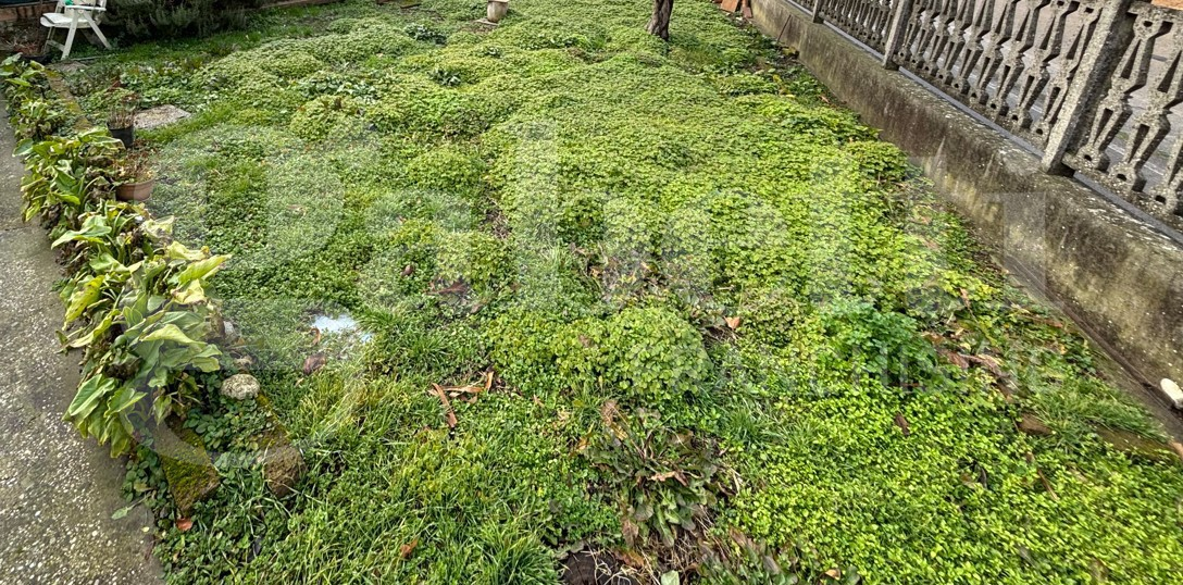 Appartamento - Image 22