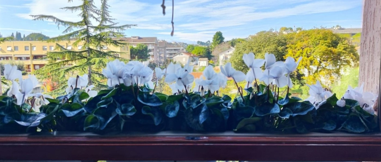 Appartamento - Image 16