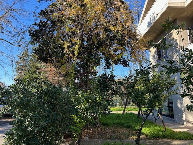 Appartamento - Image 25