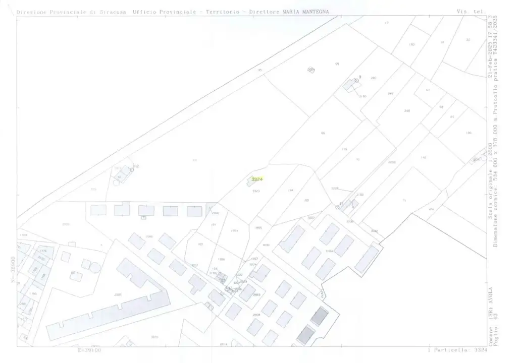 Terreno - Planimetry 1