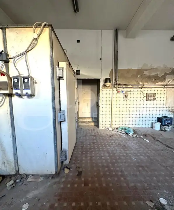 Laboratorio - Image 7