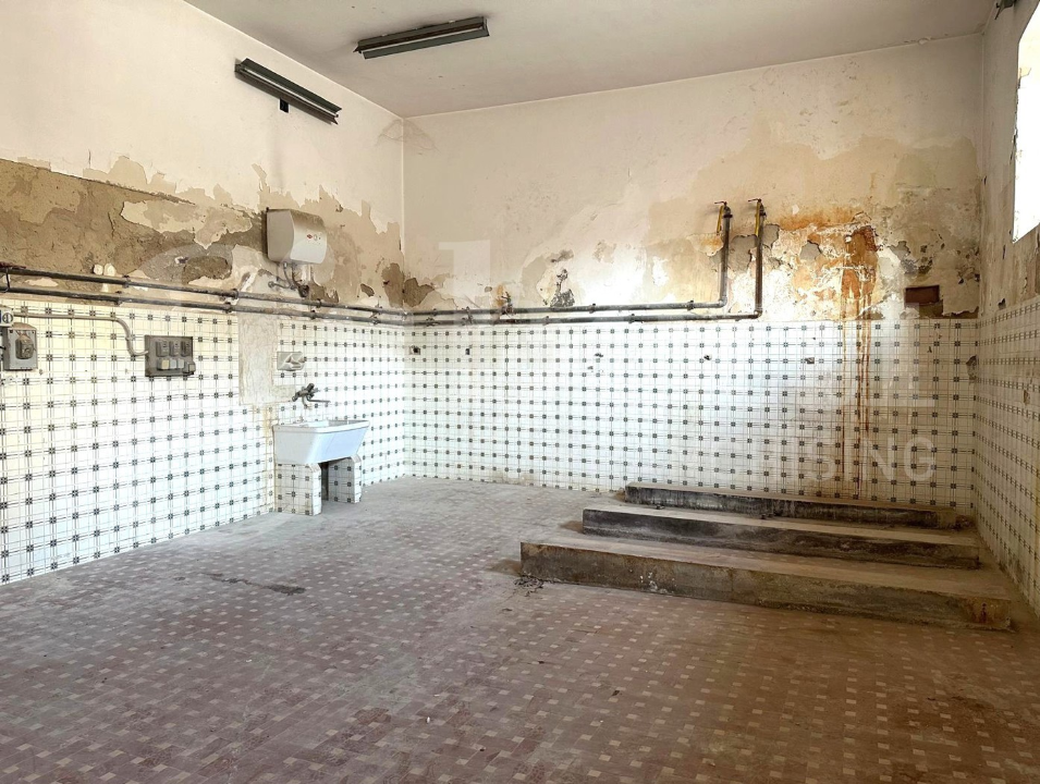 Laboratorio - Image 5