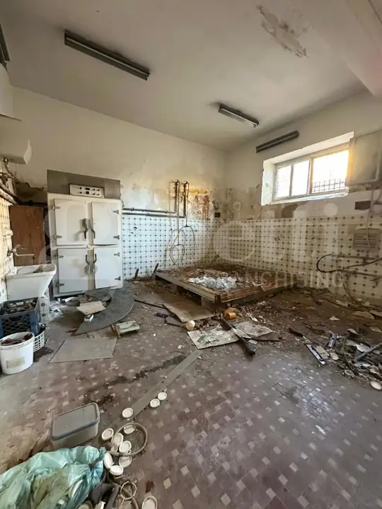 Laboratorio - Image 6