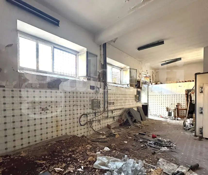 Laboratorio - Image 5