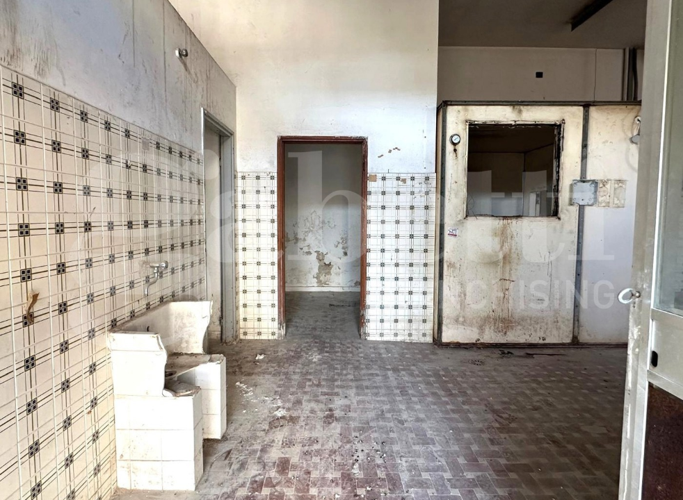 Laboratorio - Image 3