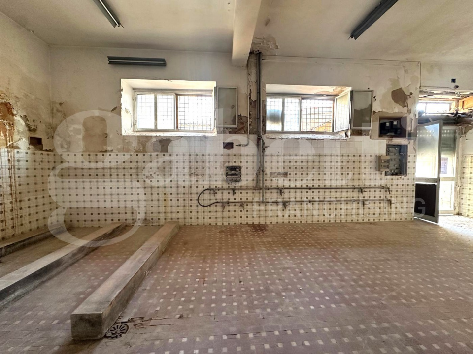 Laboratorio - Image 10