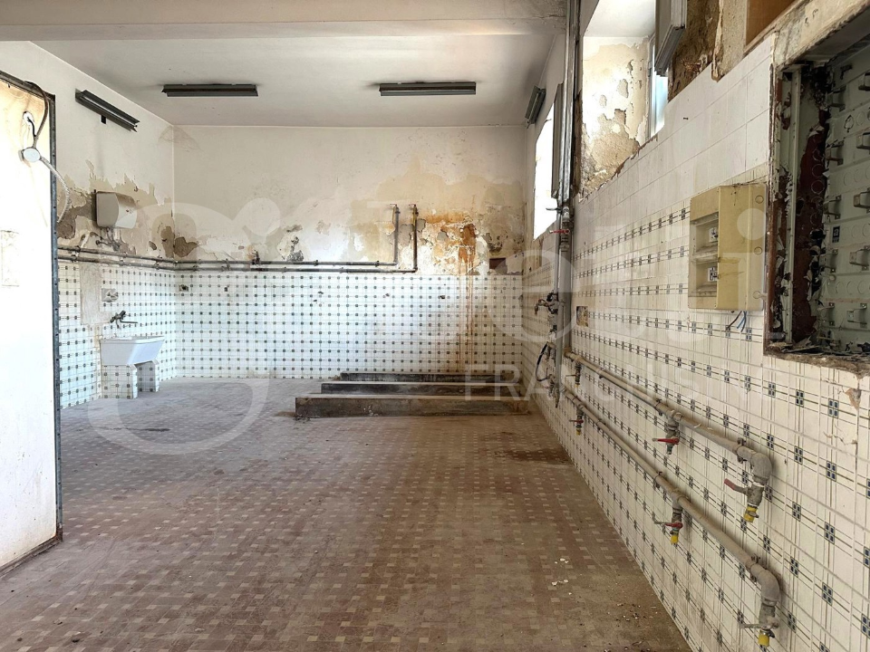 Laboratorio - Image 4