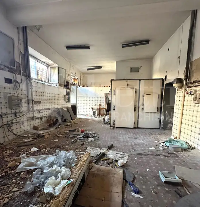 Laboratorio - Image 4