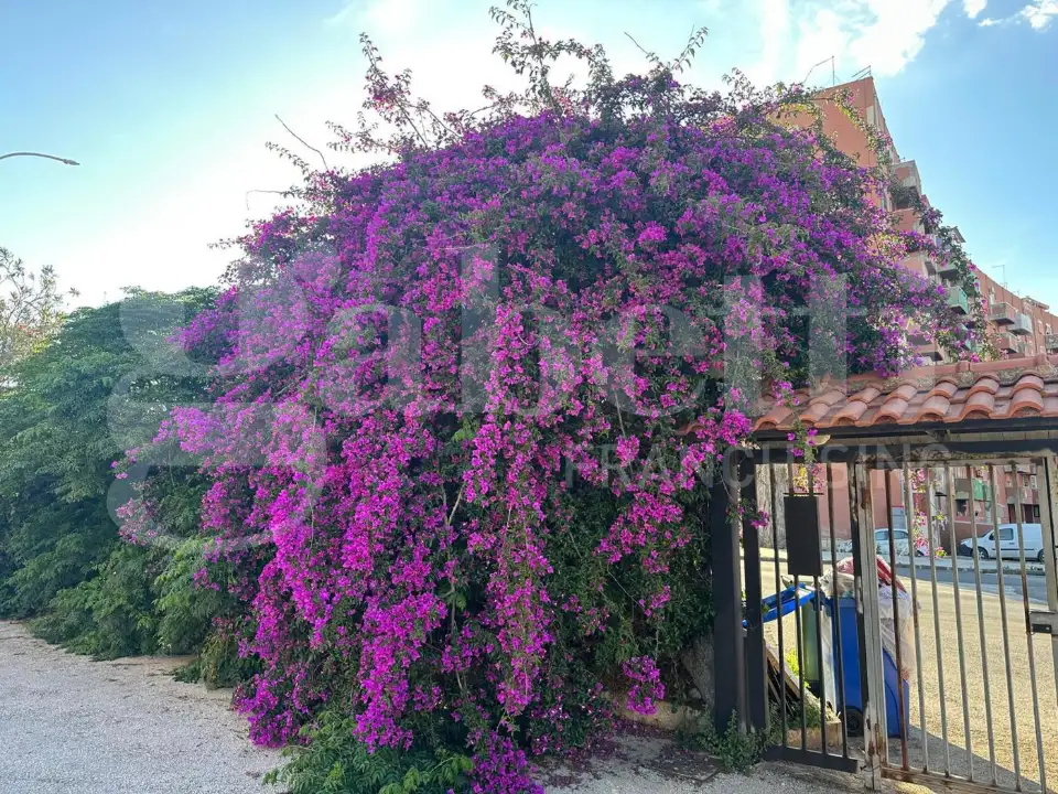 Appartamento - Image 5