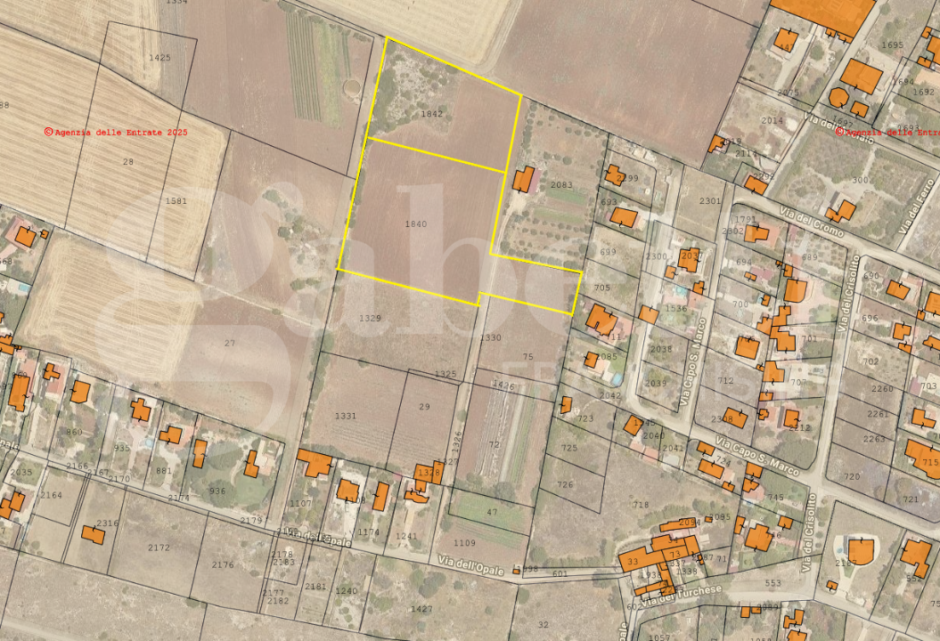 Terreno - Planimetry 1