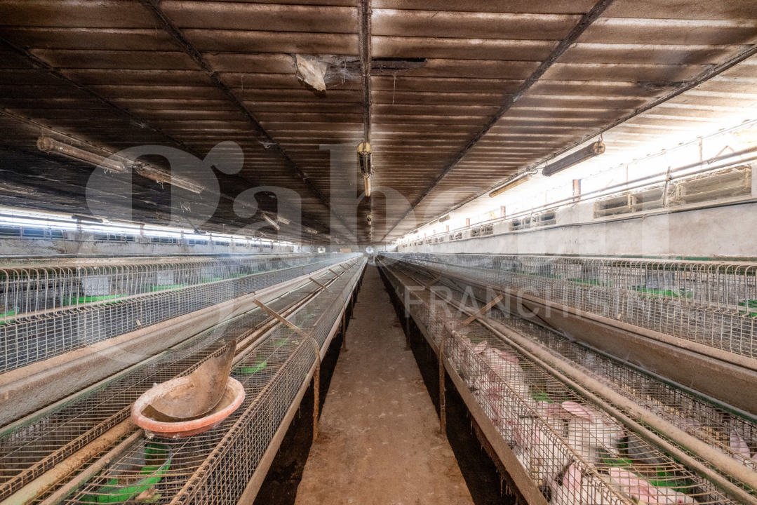 Capannone - Image 12