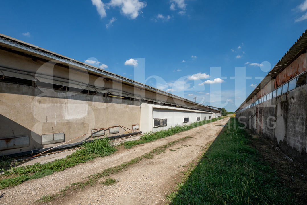 Capannone - Image 10