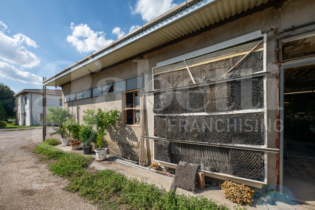 Capannone - Image 11