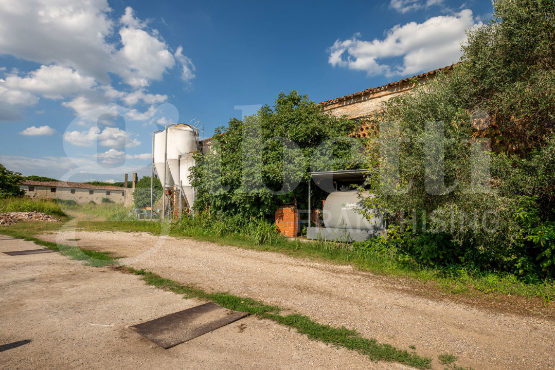 Capannone - Image 10