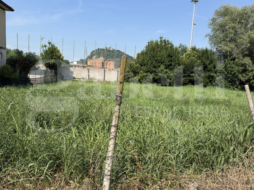 Terreno - Image 5