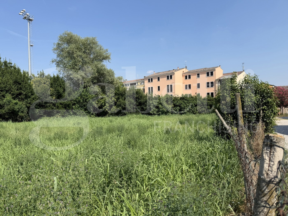 Terreno - Image 4