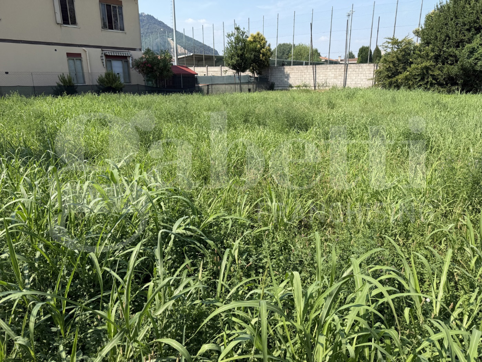 Terreno - Image 9