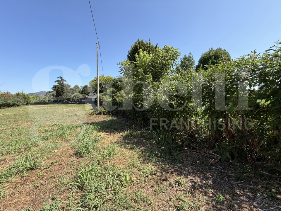 Terreno - Image 6