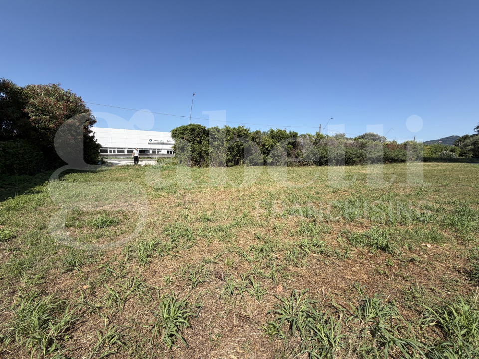 Terreno - Image 4