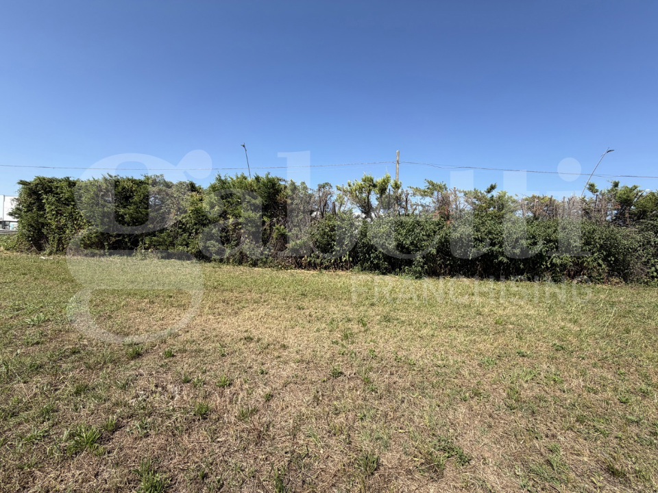 Terreno - Image 7