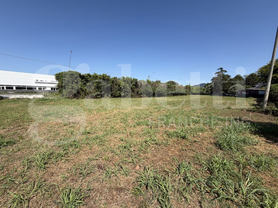 Terreno - Image 5