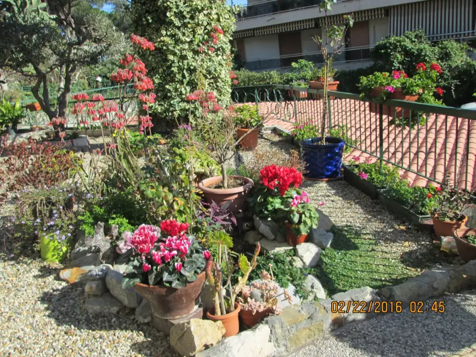 Casa Indipendente - Image 20