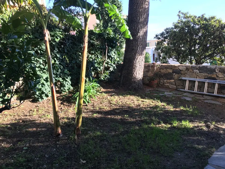 Appartamento - Image 31