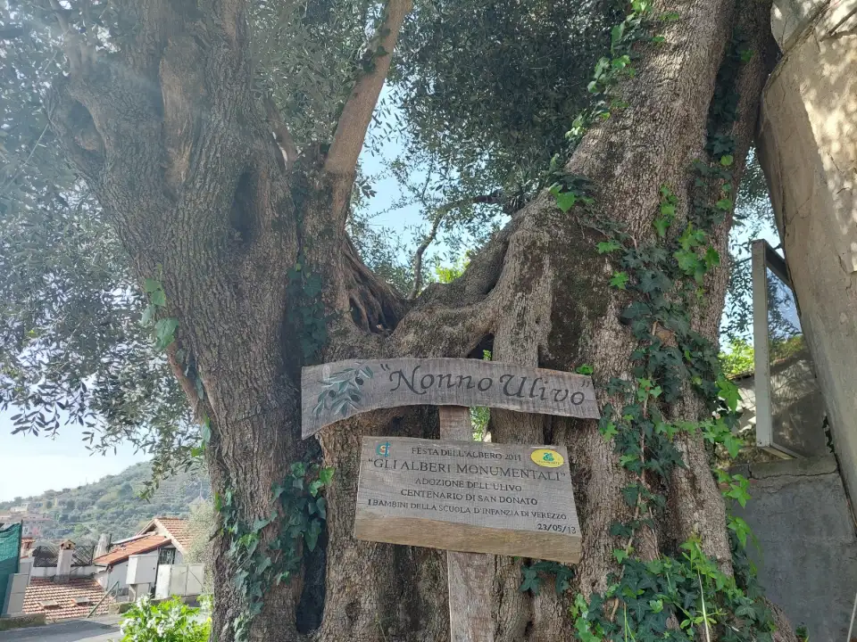 Casa Indipendente - Image 28