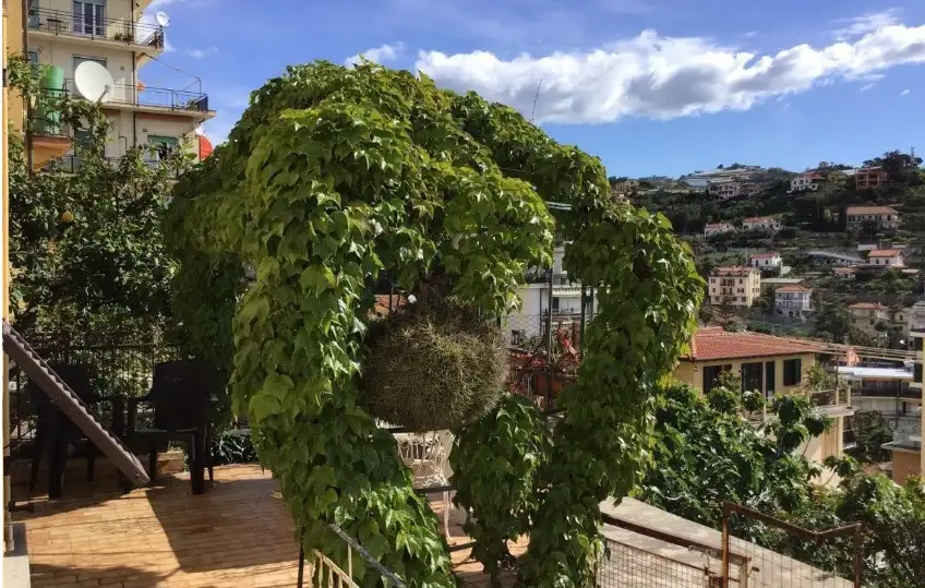 Appartamento - Image 10