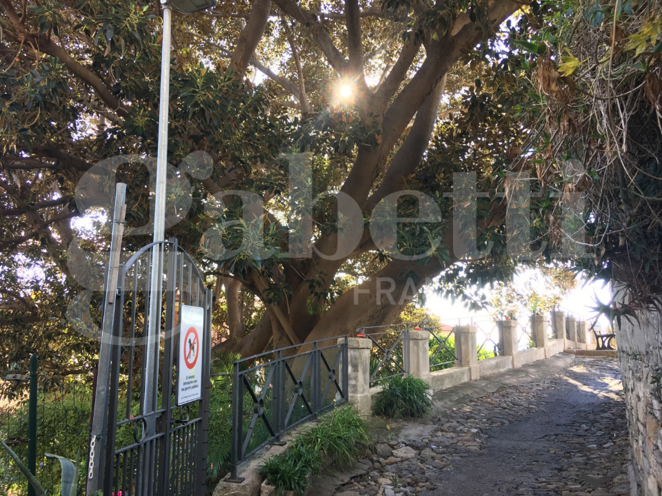 Appartamento - Image 4