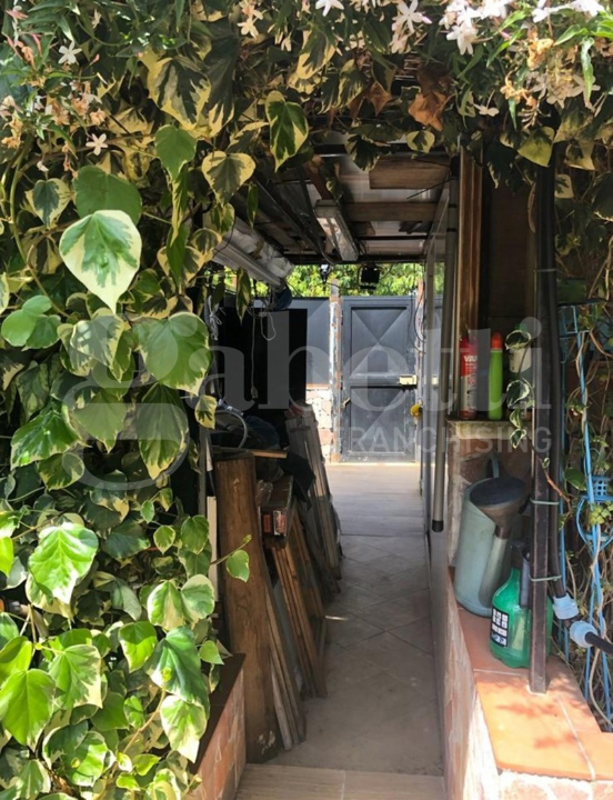 Appartamento - Image 4