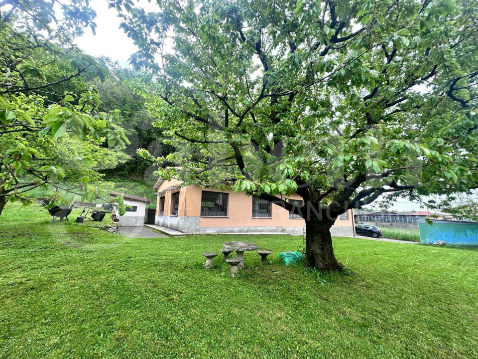 Capannone - Image 3