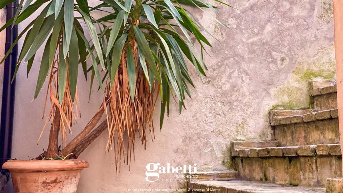 Appartamento - Image 39