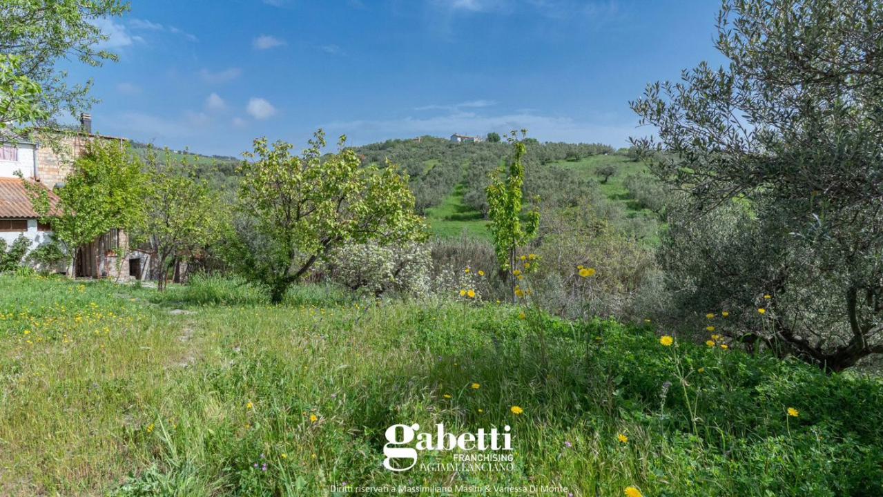 Casa Indipendente - Image 2