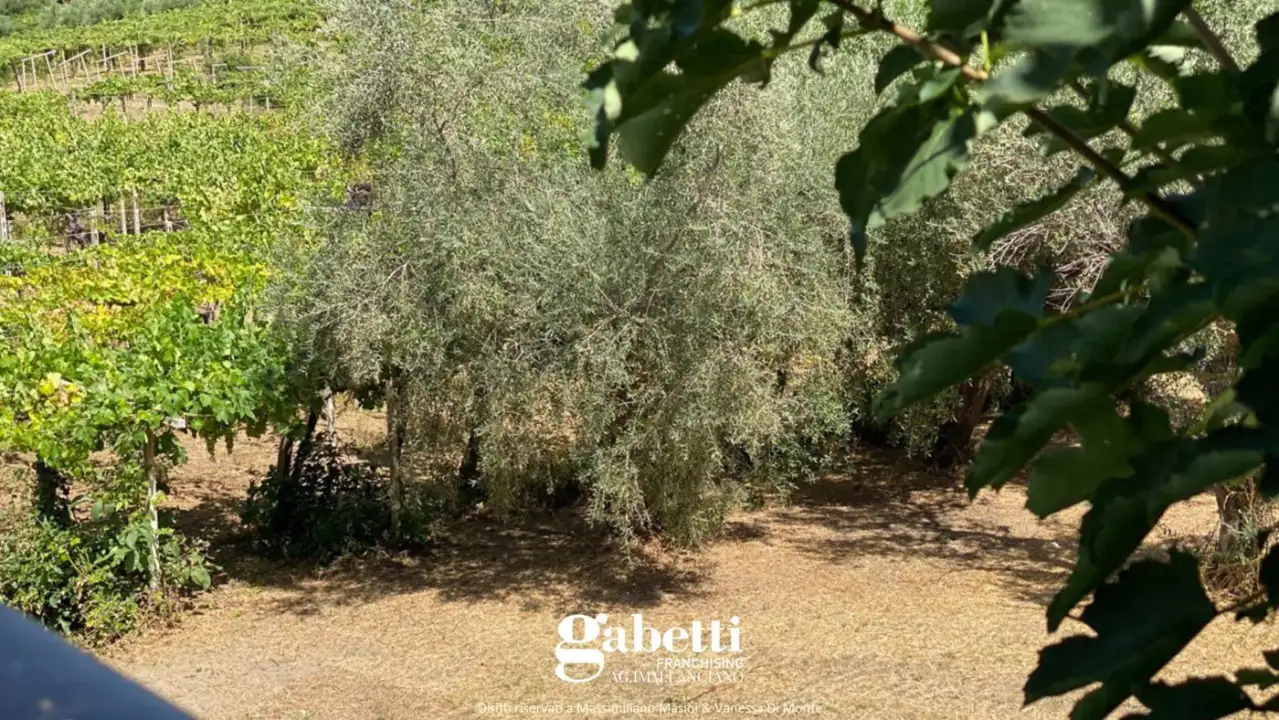 Casa Indipendente - Image 39