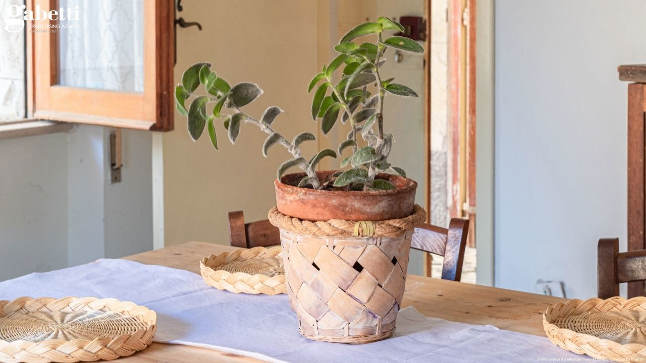 Casa Indipendente - Image 25