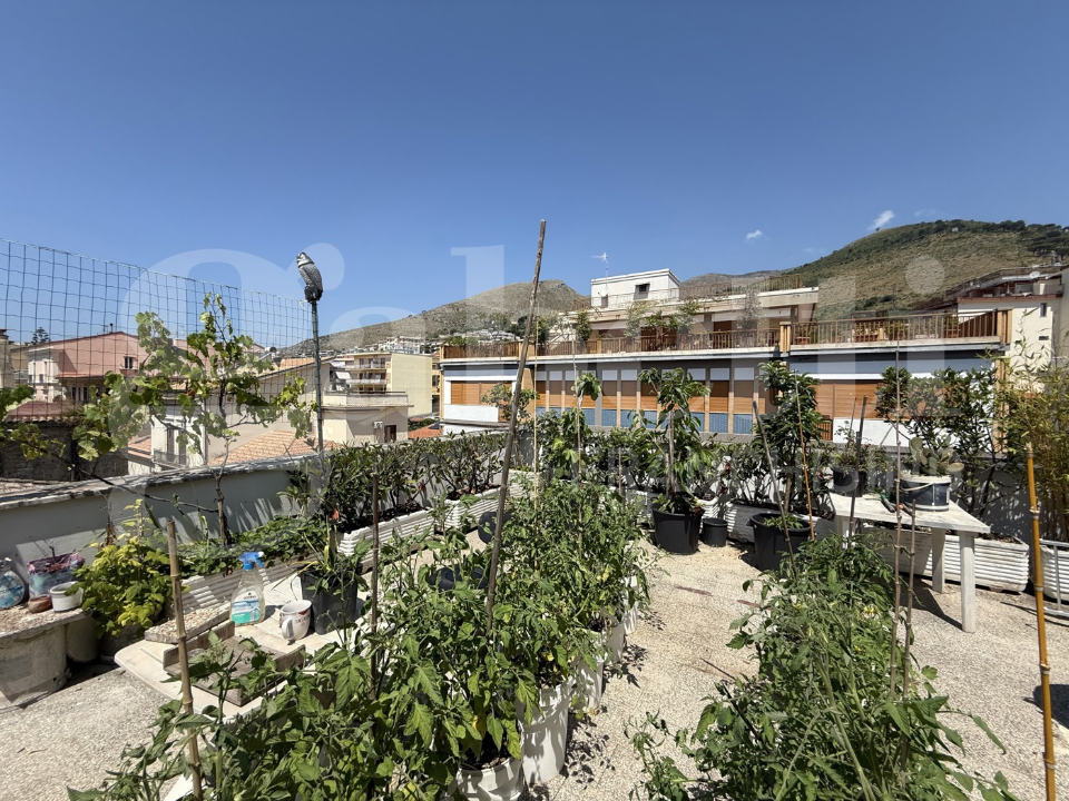 Appartamento - Image 4