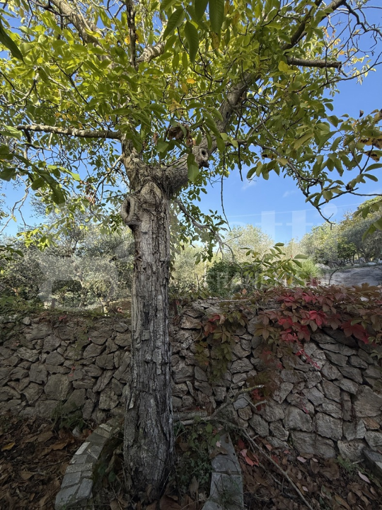 Casa Indipendente - Image 32