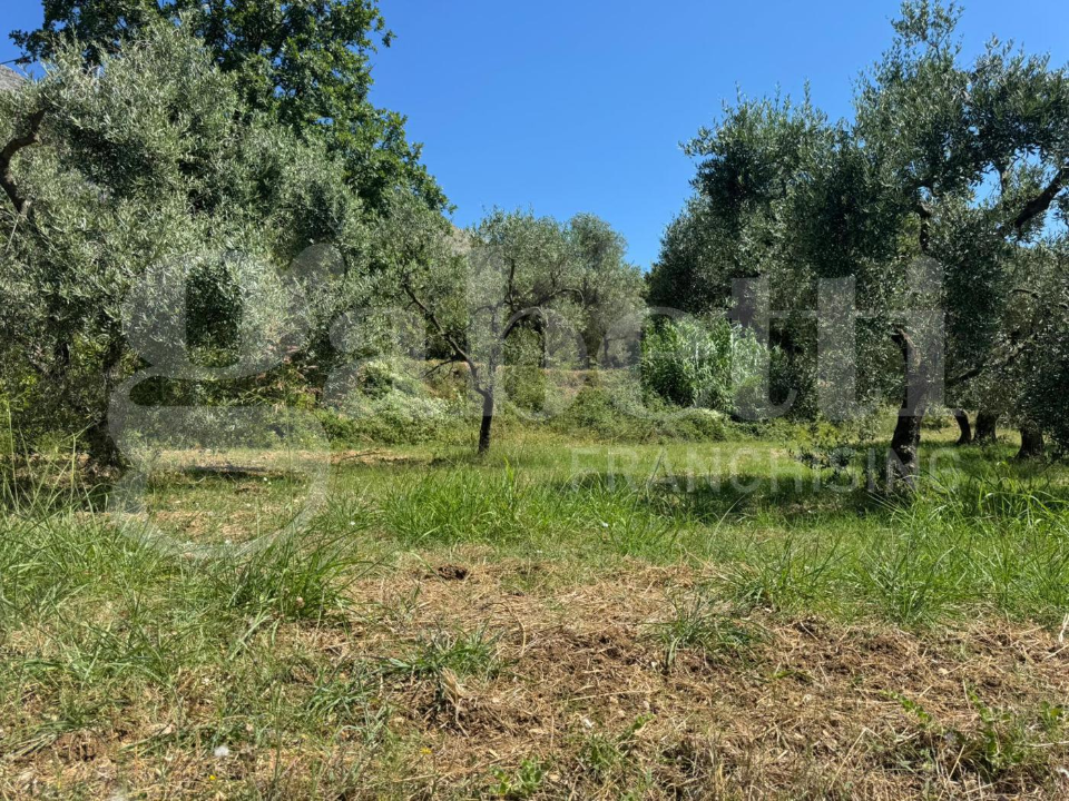 Casa Indipendente - Image 2