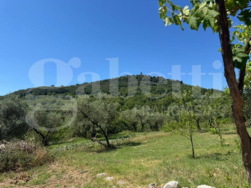 Casa Indipendente - Image 7