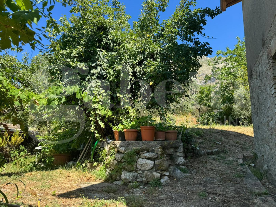 Casa Indipendente - Image 4